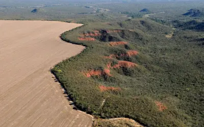 Desmatamento dispara 22% em 2022 e expõe velocidade alarmante da perda ambiental no Brasil