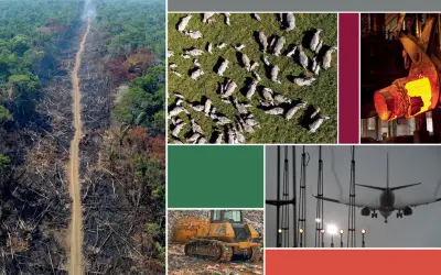 Desmatamento e agropecuária lideram emissões de carbono no Brasil