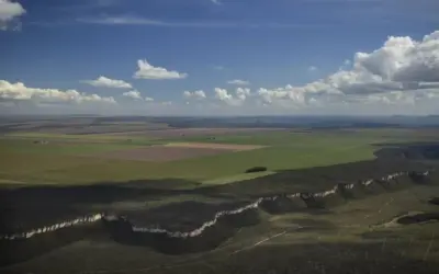 Desmatamento e irrigação de monoculturas fazem rios do Cerrado minguarem