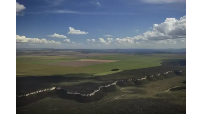 Desmatamento e irrigação de monoculturas fazem rios do Cerrado minguarem