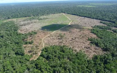 Desmatamento ilegal em áreas protegidas leva MP a investigar crime ambiental no interior do Acre