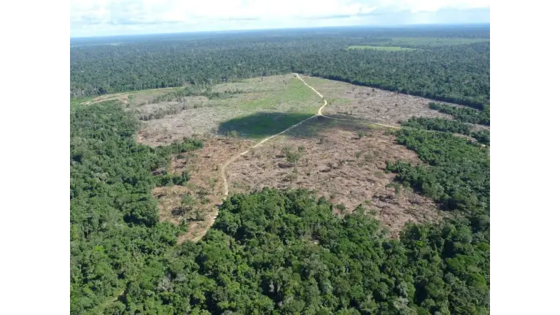 Desmatamento ilegal em áreas protegidas leva MP a investigar crime ambiental no interior do Acre