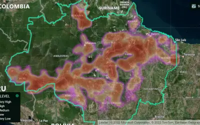Desmatamento na Amazônia pode alcançar área de 15 mil Km² em 2022 de acordo com Plataforma de I.A