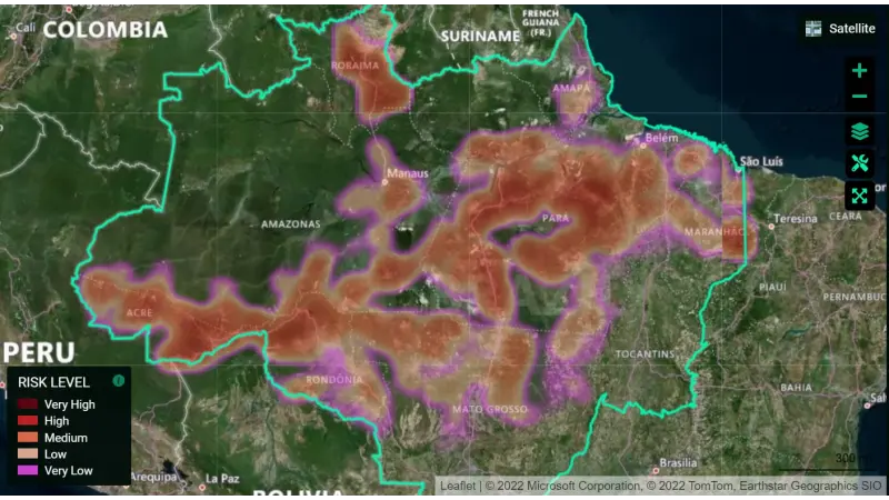 Desmatamento na Amazônia pode alcançar área de 15 mil Km² em 2022 de acordo com Plataforma de I.A