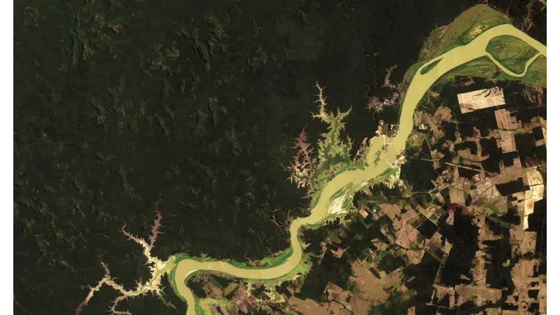Desmatamento na Amazônia: Múltiplos sistemas no monitoramento por satélite