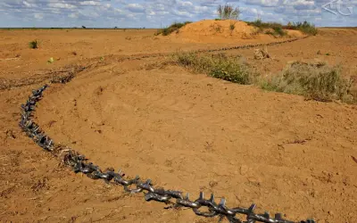 Em dois anos a área desmatada no Cerrado foi três vezes maior que o DF