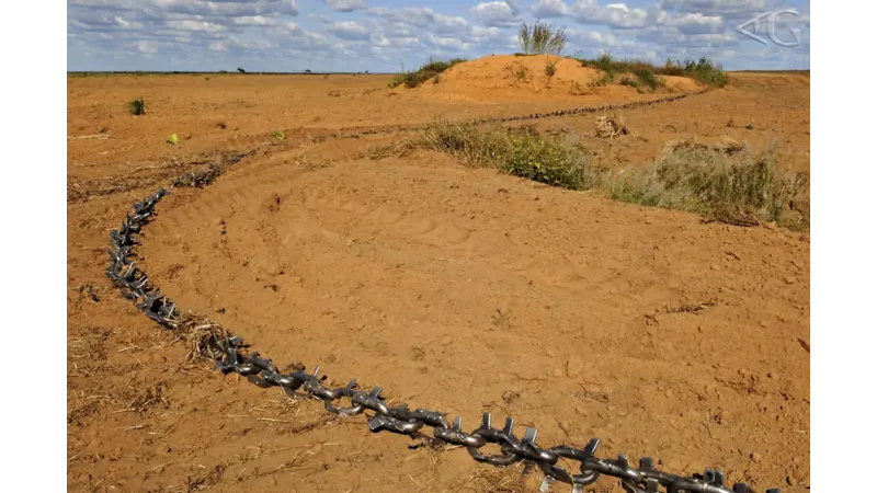 Em dois anos a área desmatada no Cerrado foi três vezes maior que o DF