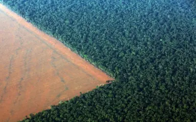Desmatamento por mineração na Amazônia bate recorde em 2021