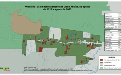 Desmatamento pressiona a Terra Indígena Juma