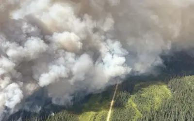 Devido à incêndios florestais as emissões de carbono aumentaram 60% entre 2001 e 2023