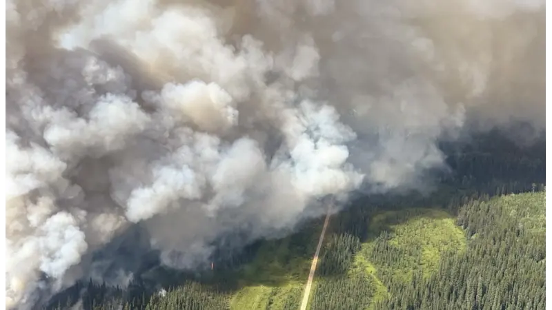 Devido à incêndios florestais as emissões de carbono aumentaram 60% entre 2001 e 2023