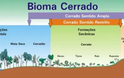 11 de Setembro: Dia Nacional do Cerrado