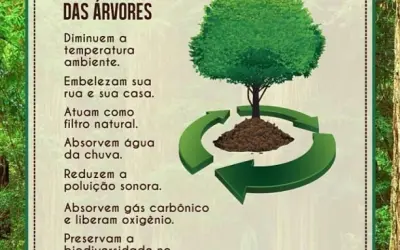 21 de Setembro: Dia da Árvore