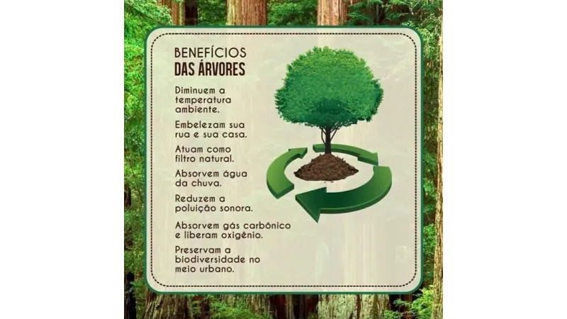 21 de Setembro: Dia da Árvore