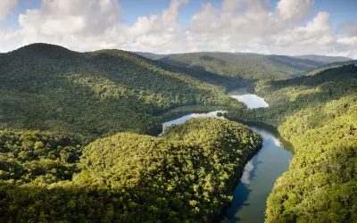 Dia Internacional das Florestas. Veja as florestas mais icônicas do mundo