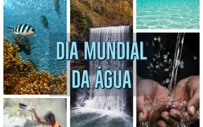 Dia mundial da Água