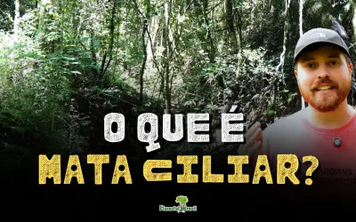 Entenda a diferença na prática: Mata Ciliar, APP e Reserva Legal