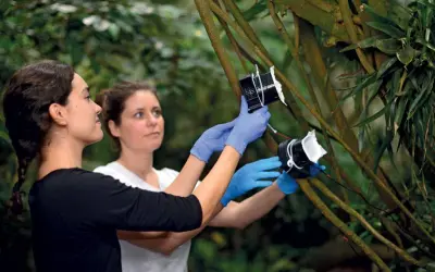 DNA no ar ajuda a identificar animais