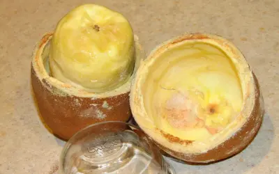 Domesticação de fruto por indígenas deu origem ao Cupuaçu
