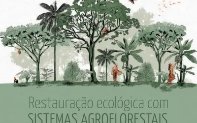 [DONWLOAD] SAFs com Restauração Ecológica