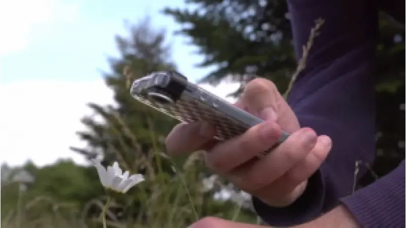 [DOWNLOAD] Aplicativo para descobrir nome de plantas através de uma foto