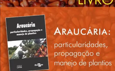 [DOWNLOAD] Livro: Araucária: particularidades, propagação e manejo de plantios