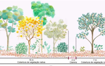 [DOWNLOAD] Artigo sobre Restauração Ecológica de Nativas
