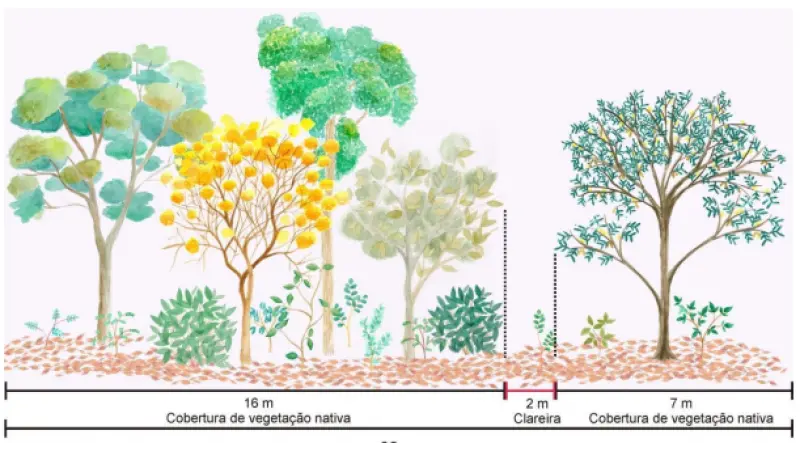 [DOWNLOAD] Artigo sobre Restauração Ecológica de Nativas