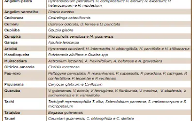 [DOWNLOAD] Catálogo de madeiras brasileiras para a construção civil