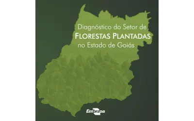 (Download) Diagnóstico do setor de florestas plantadas no Estado de Goiás