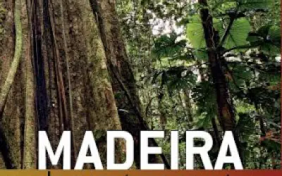 [DOWNLOAD] Madeira de Ponta a Ponta: o caminho desde a floresta até o consumo