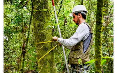 [DOWNLOAD] Manual para coleta de dados em Inventário Florestal