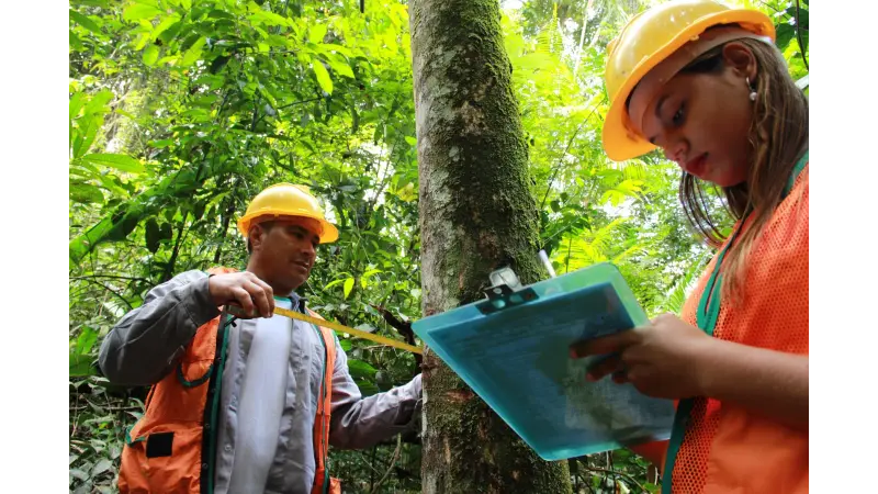[DOWNLOAD] MANUAL PARA MANEJO DE IMPACTO REDUZIDO