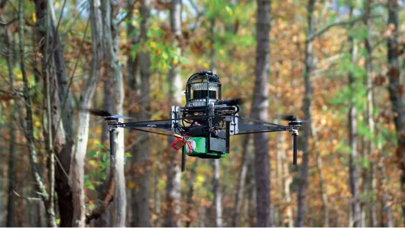 Drones mapeiam matas brasileiras