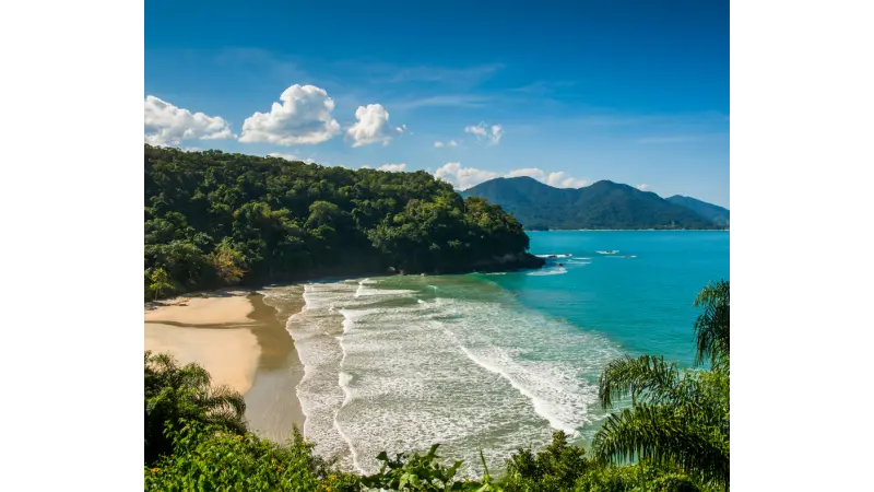 Ecologia: o que é Biota?