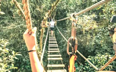 Ecoturismo na Mata Atlântica é simbolo de sustentabilidade