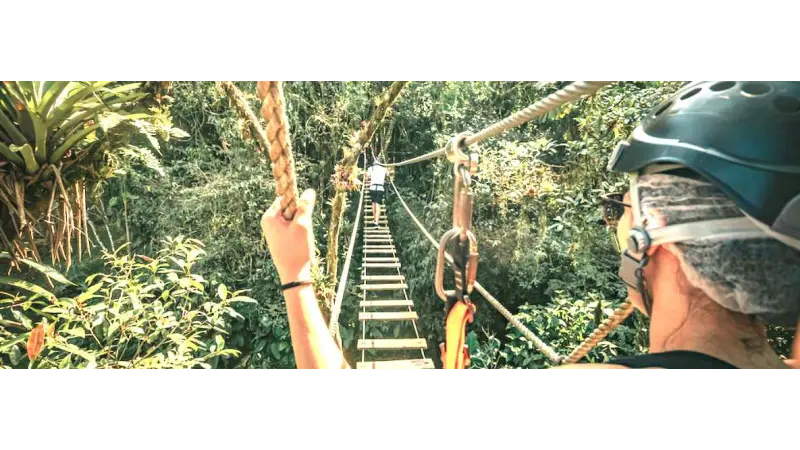 Ecoturismo na Mata Atlântica é simbolo de sustentabilidade