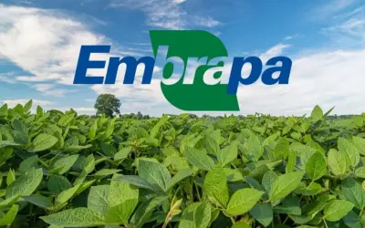 Finalmente Saiu!! Edital da EMBRAPA com Vagas para Pesquisador (2024)