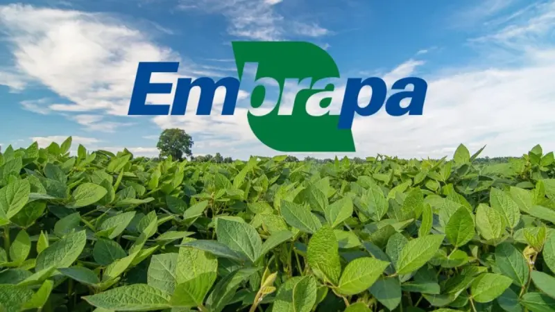 Finalmente Saiu!! Edital da EMBRAPA com Vagas para Pesquisador (2024)