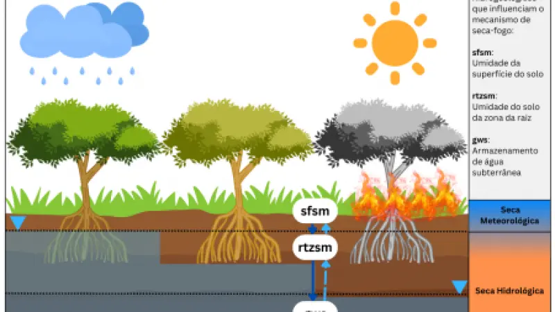 El Niño agrava impacto da seca em águas subterrâneas na Amazônia e eleva risco de incêndio, constata estudo