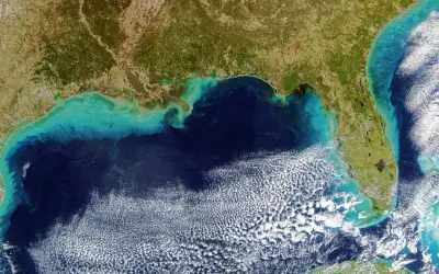 El Niño provoca mudanças profundas no ecossistema marinho do Atlântico, diz estudo
