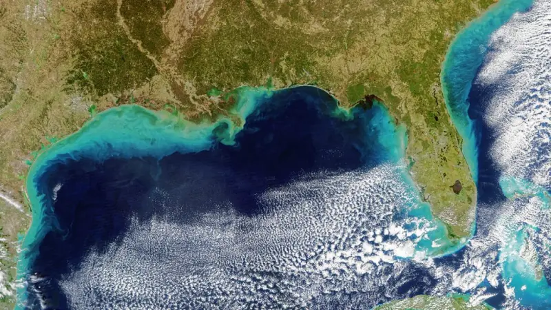 El Niño provoca mudanças profundas no ecossistema marinho do Atlântico, diz estudo