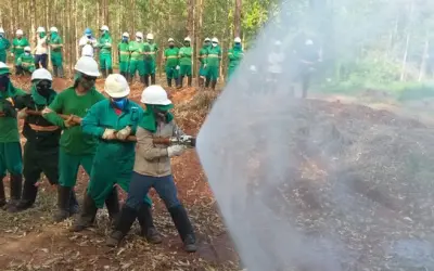 Eldorado Brasil aposta em tecnologia para prevenir incêndios florestais