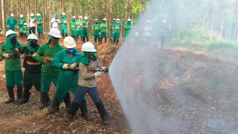 Eldorado Brasil aposta em tecnologia para prevenir incêndios florestais