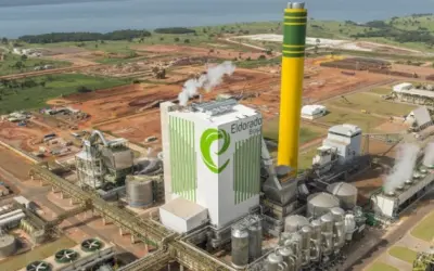 Empresa de celulose oferece mais de 800 vagas de trabalho em três cidades de MS