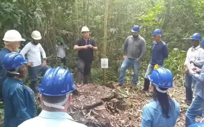 Empresa responsável pelo Manejo Florestal da Flona Altamira abre suas instalações para visitação