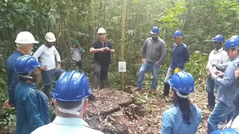 Empresa responsável pelo Manejo Florestal da Flona Altamira abre suas instalações para visitação