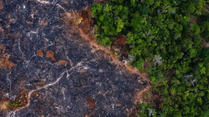 Enfrentar conjuntamente crises da biodiversidade, do clima e da desertificação será um jogo de ganha-ganha
