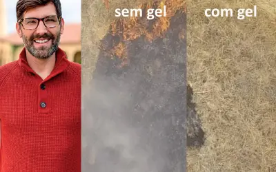 Engenheiro cria gel que adere à mata e previne incêndios florestais