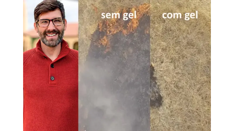 Engenheiro cria gel que adere à mata e previne incêndios florestais